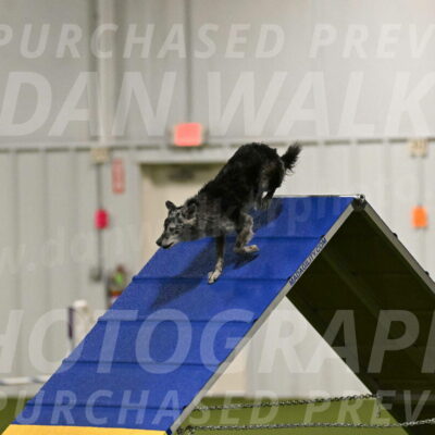 Bruce-Vic-Belebczuk-00790