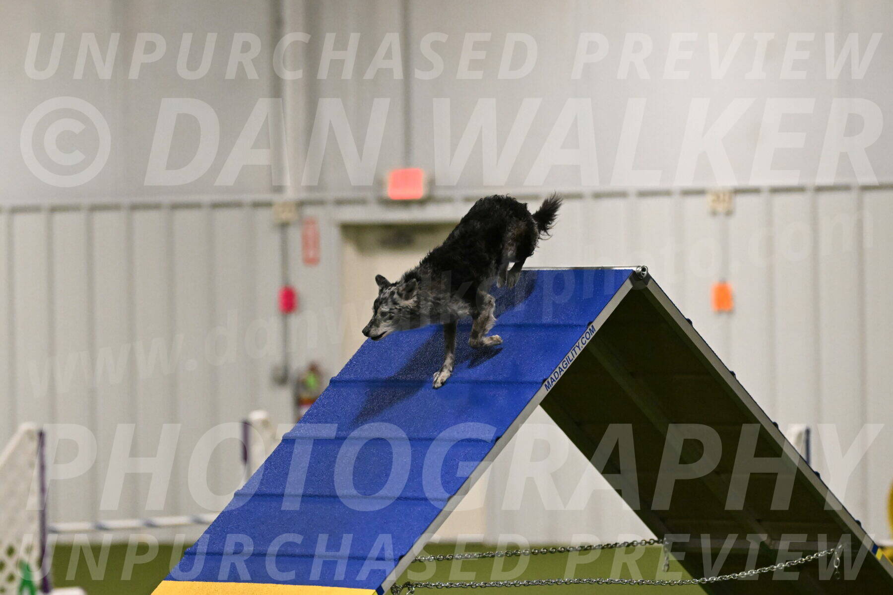 Bruce-Vic-Belebczuk-00790
