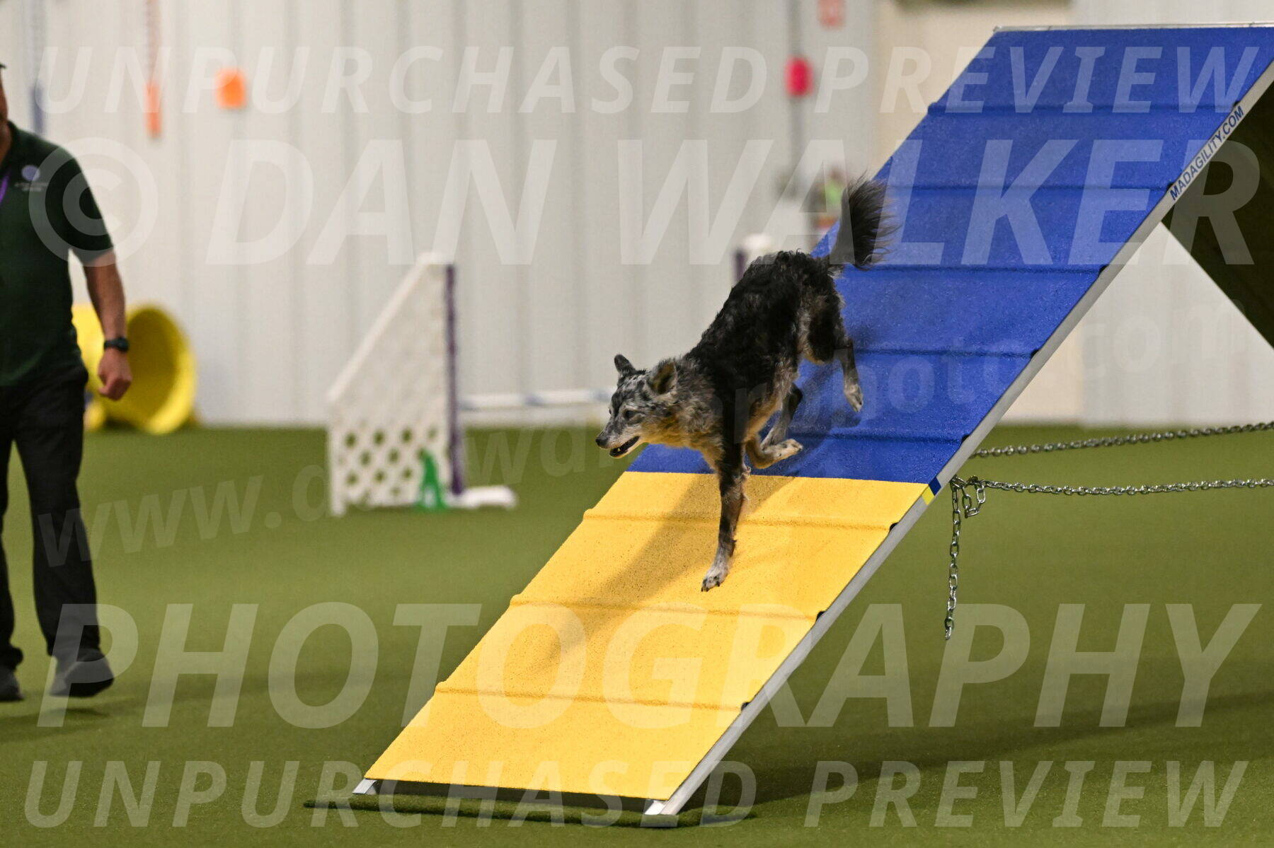 Bruce-Vic-Belebczuk-00791