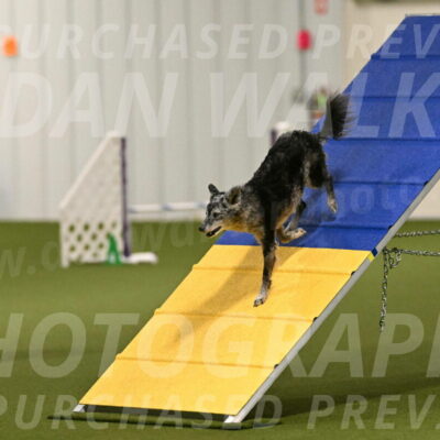 Bruce-Vic-Belebczuk-00791