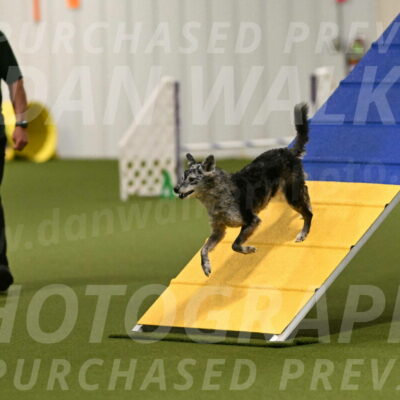 Bruce-Vic-Belebczuk-00792