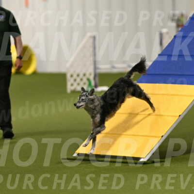 Bruce-Vic-Belebczuk-00793