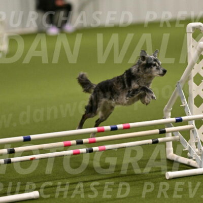 Bruce-Vic-Belebczuk-00794