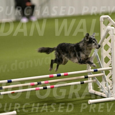 Bruce-Vic-Belebczuk-00795