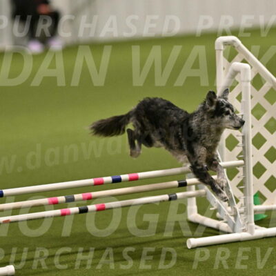 Bruce-Vic-Belebczuk-00796