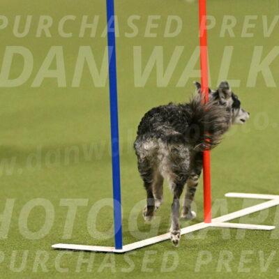 Bruce-Vic-Belebczuk-00798