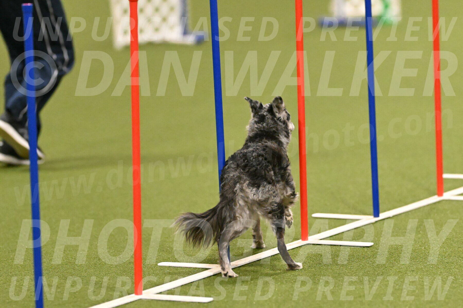 Bruce-Vic-Belebczuk-00800