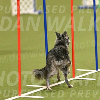 Bruce-Vic-Belebczuk-00800