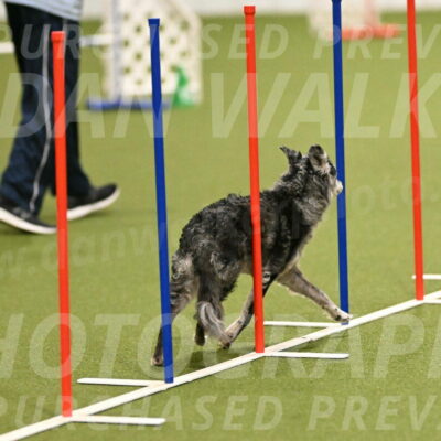 Bruce-Vic-Belebczuk-00802