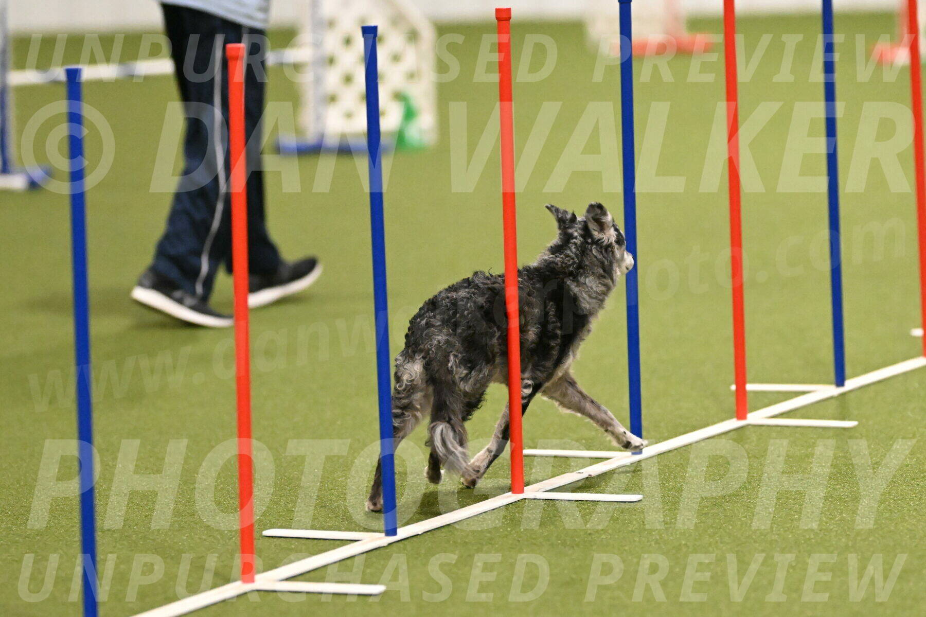 Bruce-Vic-Belebczuk-00802