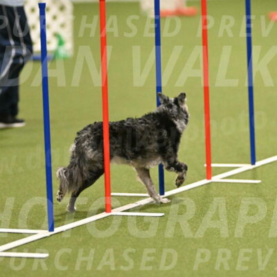 Bruce-Vic-Belebczuk-00803