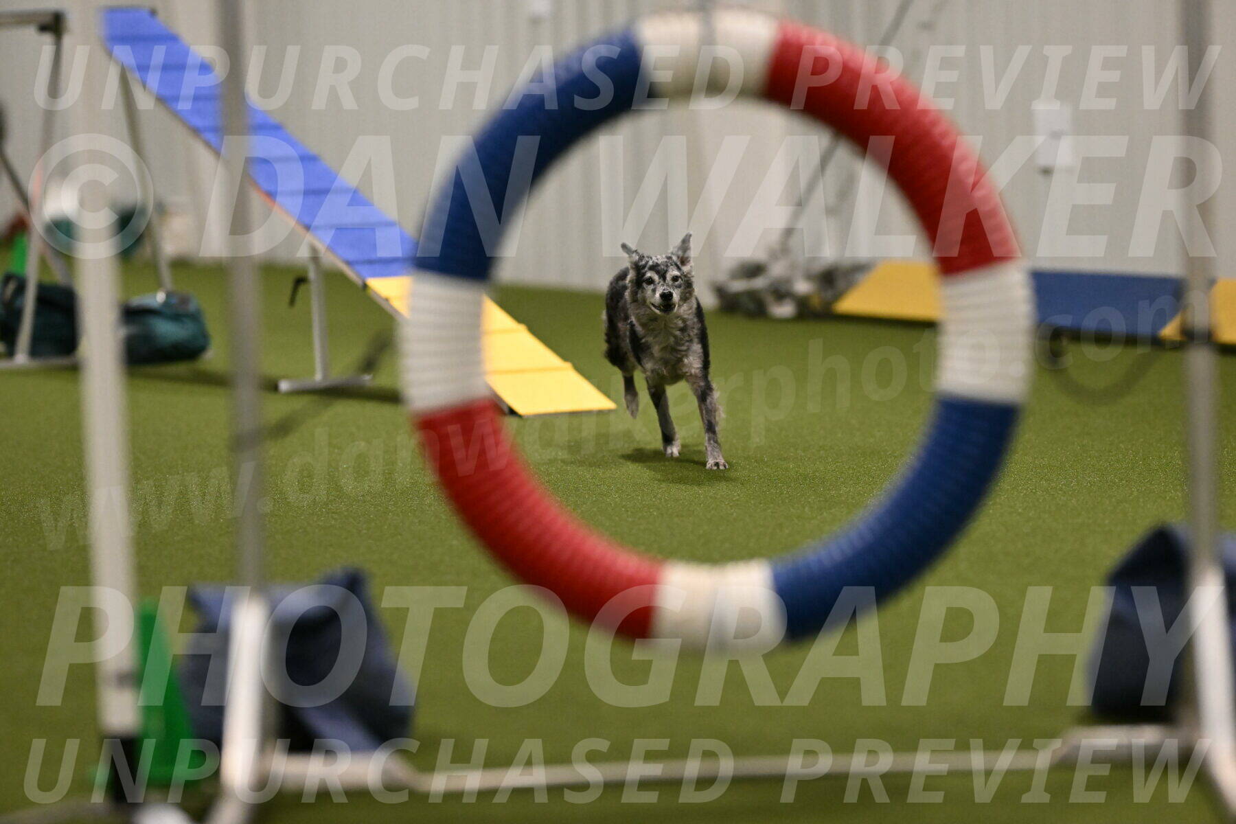 Bruce-Vic-Belebczuk-00804