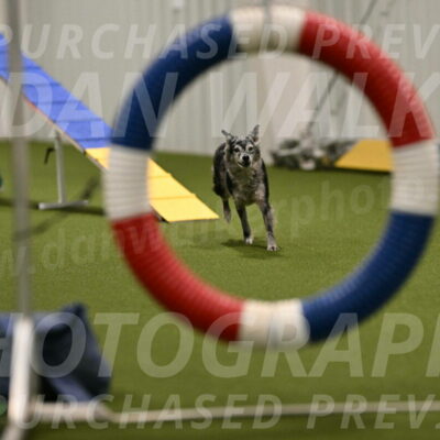 Bruce-Vic-Belebczuk-00804