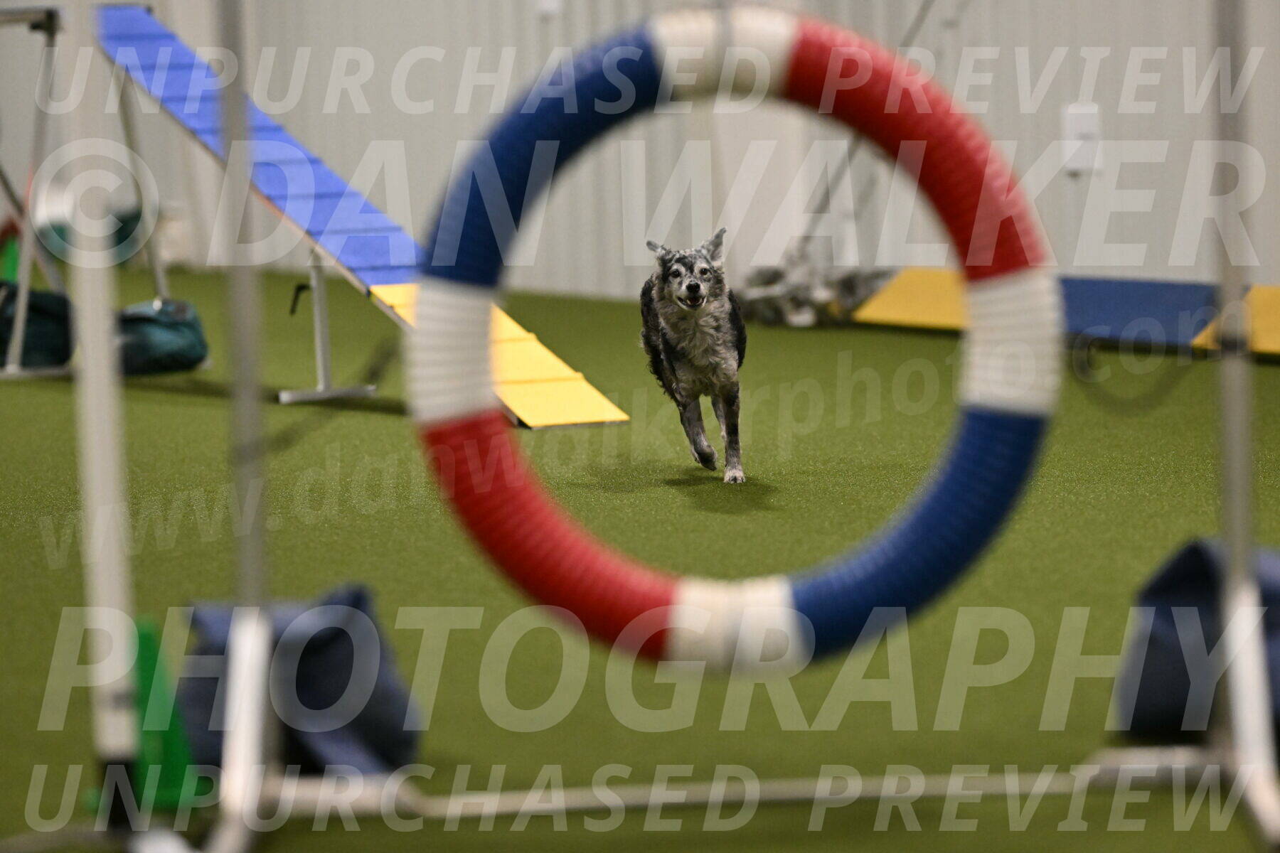 Bruce-Vic-Belebczuk-00805
