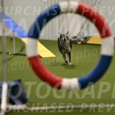 Bruce-Vic-Belebczuk-00805