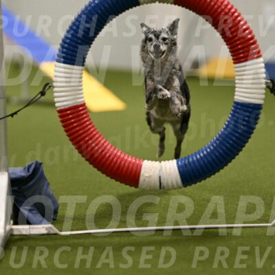 Bruce-Vic-Belebczuk-00806