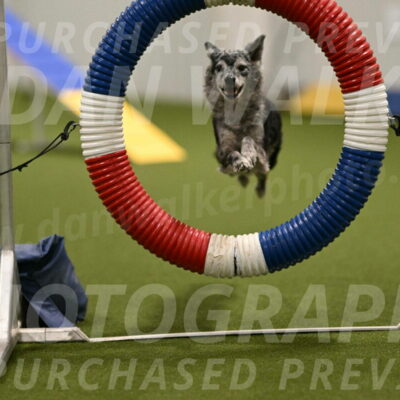 Bruce-Vic-Belebczuk-00807