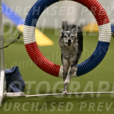 Bruce-Vic-Belebczuk-00809
