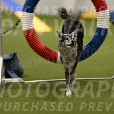 Bruce-Vic-Belebczuk-00810