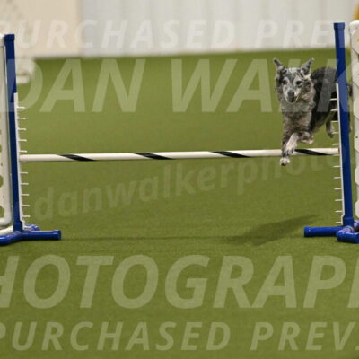 Bruce-Vic-Belebczuk-00811