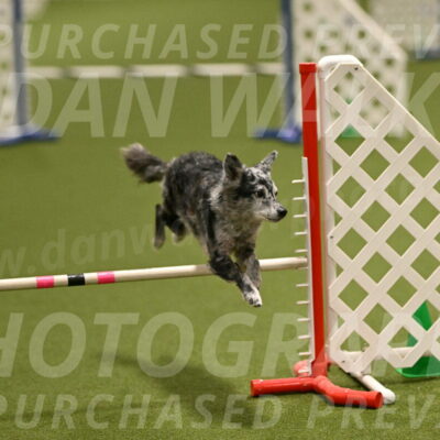 Bruce-Vic-Belebczuk-00816