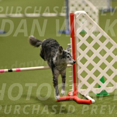 Bruce-Vic-Belebczuk-00817