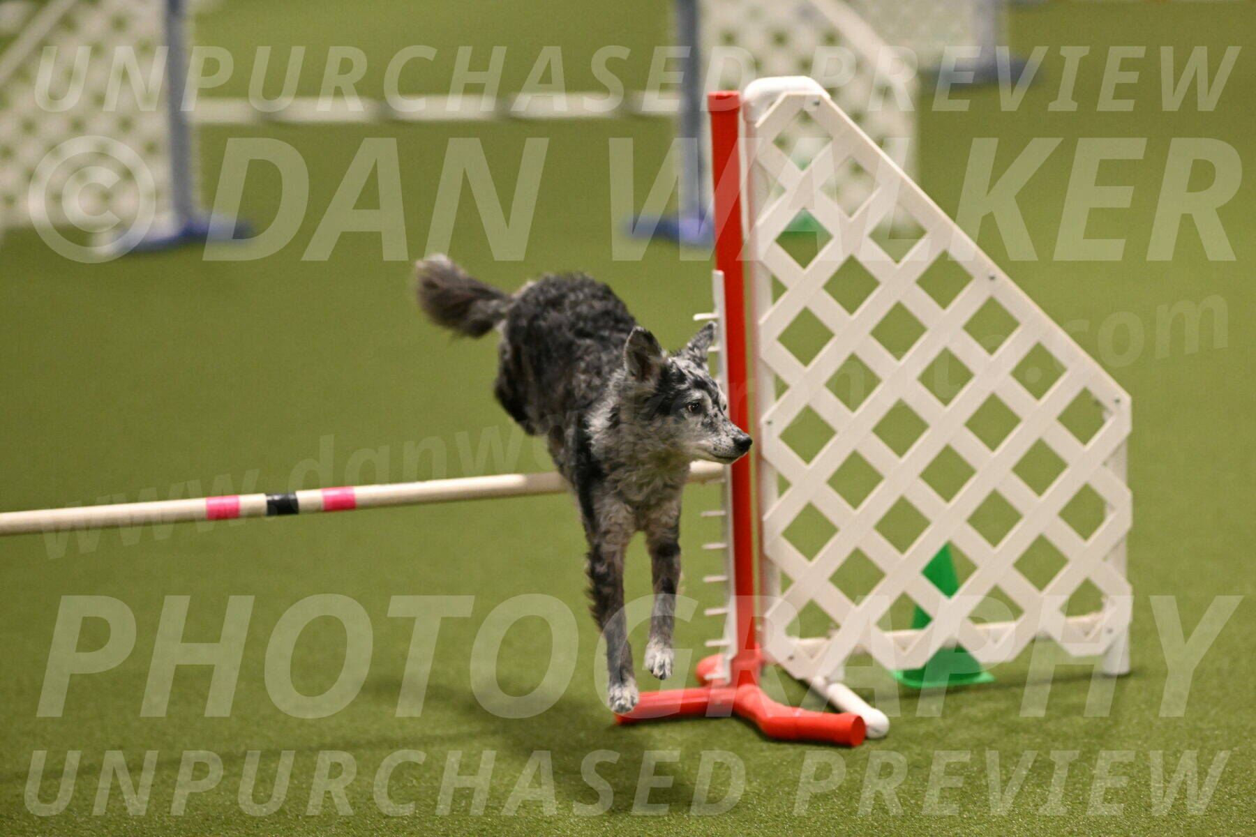 Bruce-Vic-Belebczuk-00817
