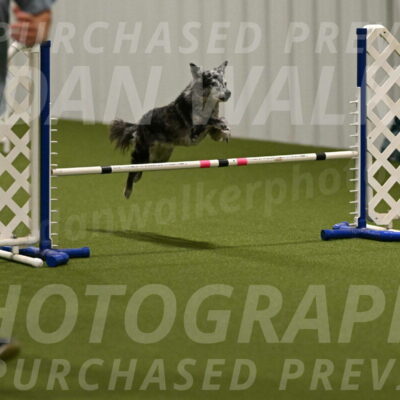 Bruce-Vic-Belebczuk-00818