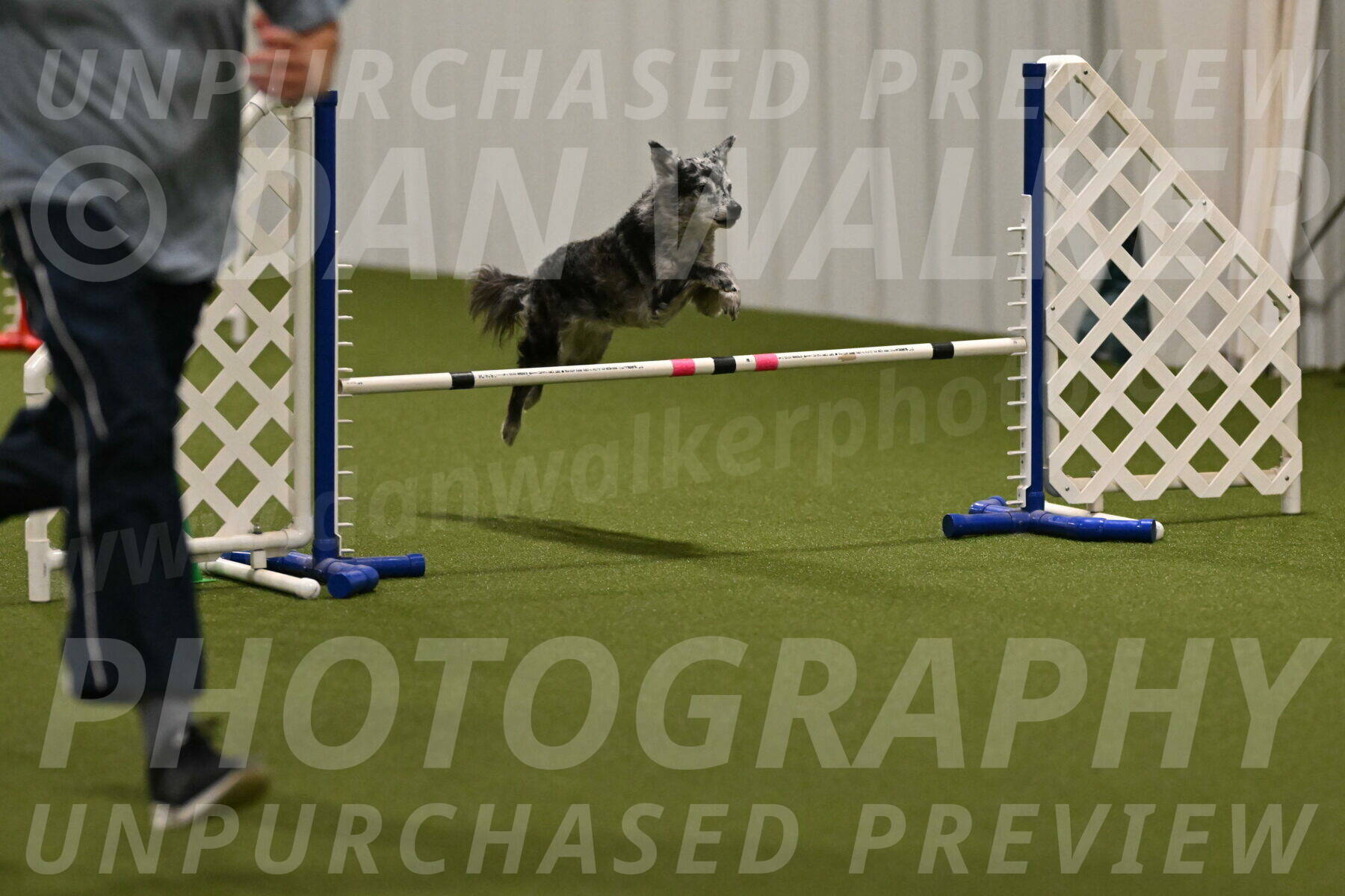 Bruce-Vic-Belebczuk-00818