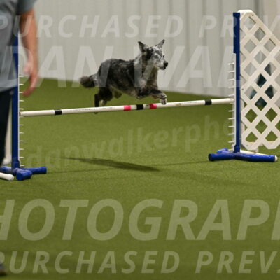 Bruce-Vic-Belebczuk-00819