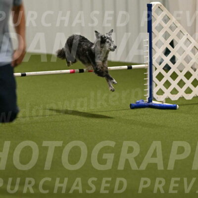 Bruce-Vic-Belebczuk-00820
