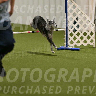 Bruce-Vic-Belebczuk-00821