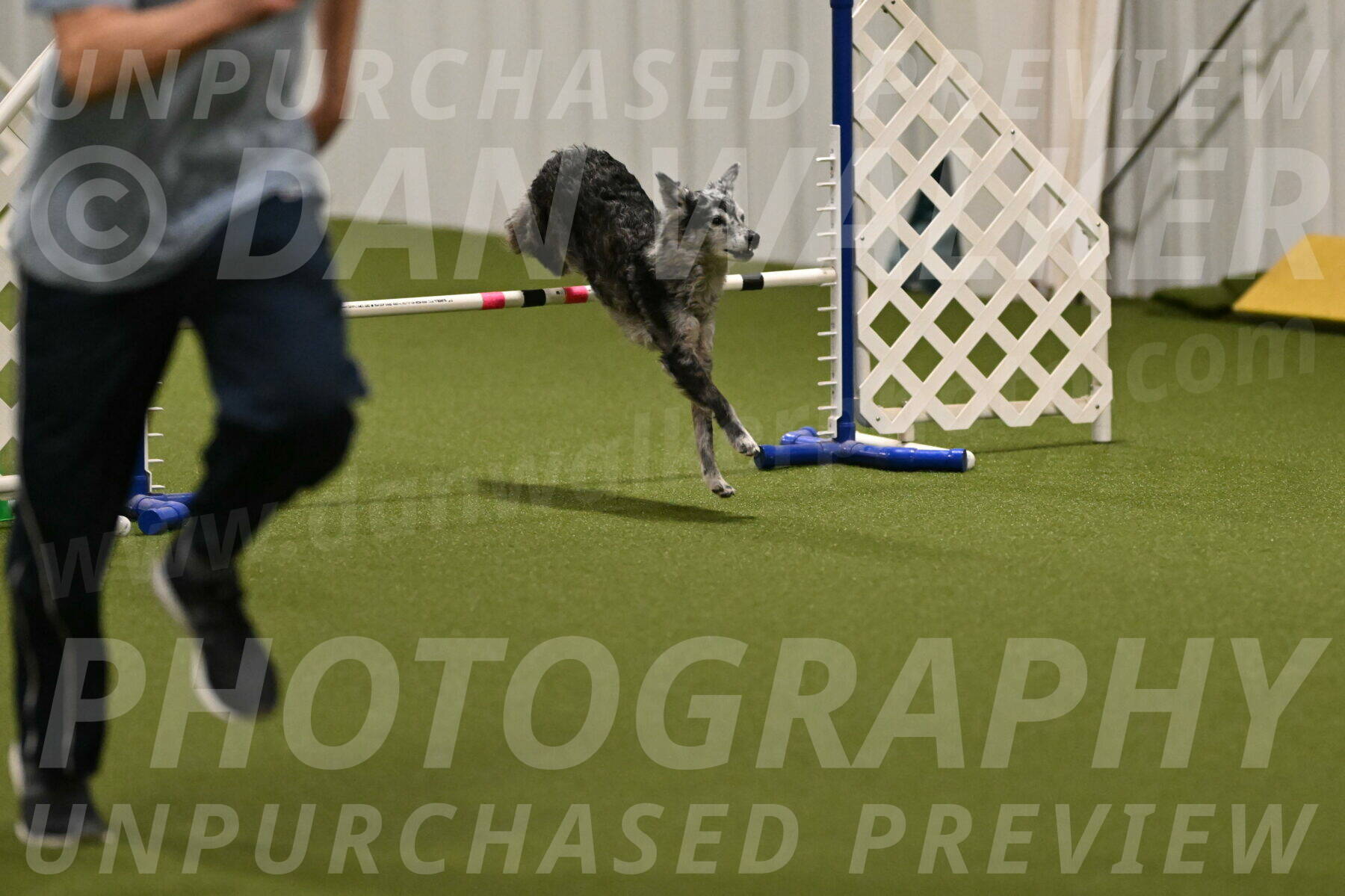 Bruce-Vic-Belebczuk-00821