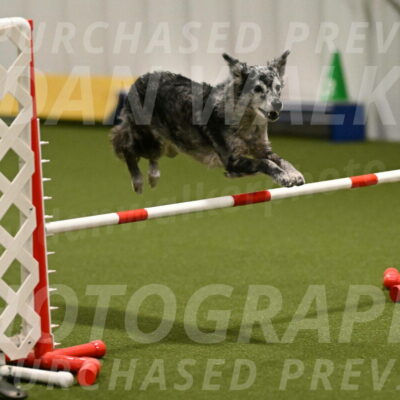 Bruce-Vic-Belebczuk-00822