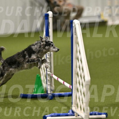 Bruce-Vic-Belebczuk-00823