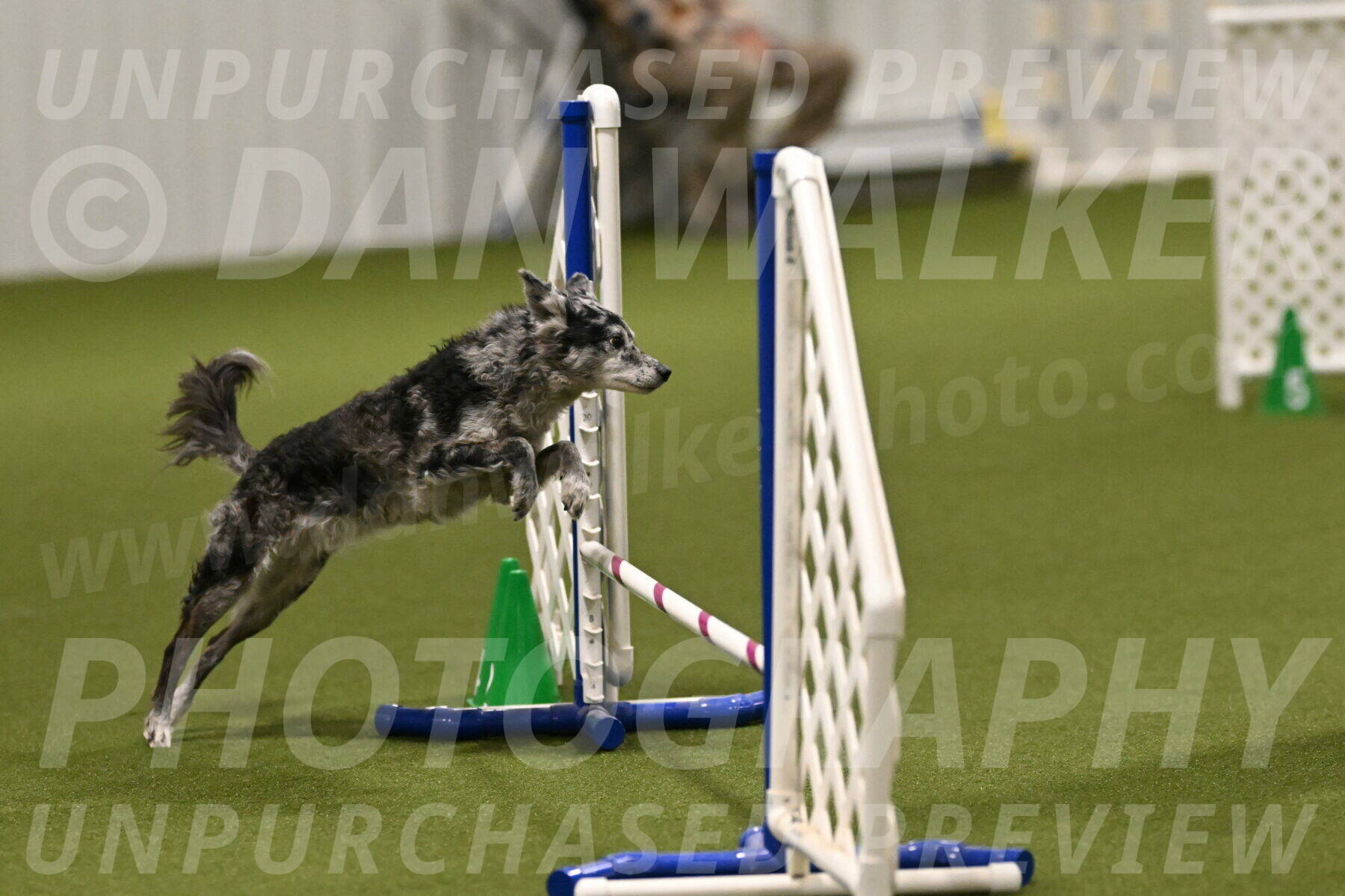 Bruce-Vic-Belebczuk-00823