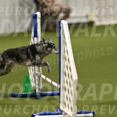 Bruce-Vic-Belebczuk-00824
