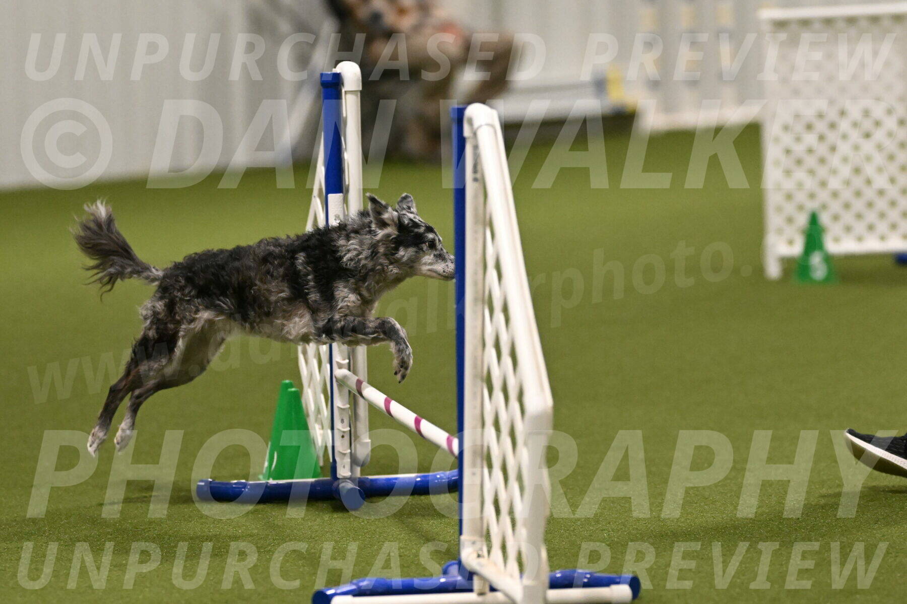 Bruce-Vic-Belebczuk-00824