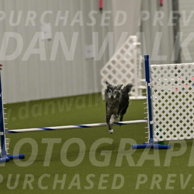Bruce-Vic-Belebczuk-00825