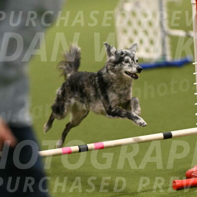 Bruce-Vic-Belebczuk-00827