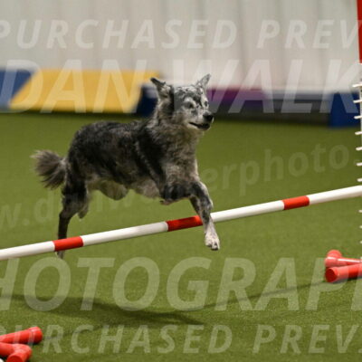 Bruce-Vic-Belebczuk-00830