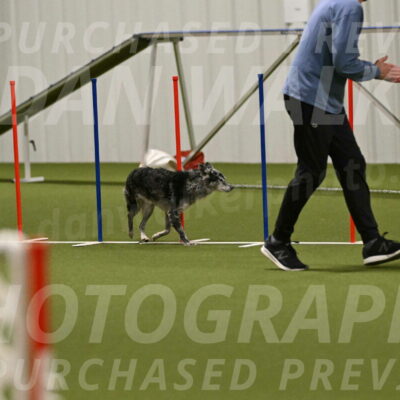 Bruce-Vic-Belebczuk-00831