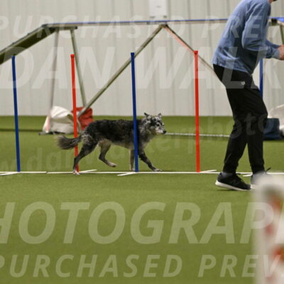 Bruce-Vic-Belebczuk-00834