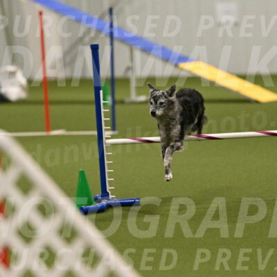 Bruce-Vic-Belebczuk-00837