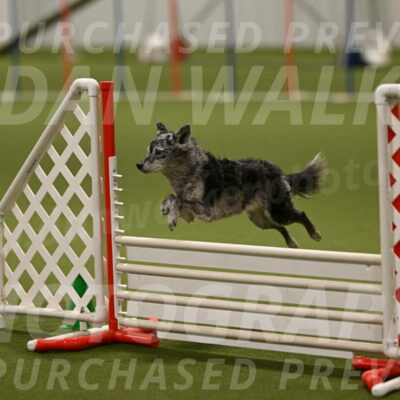 Bruce-Vic-Belebczuk-00838