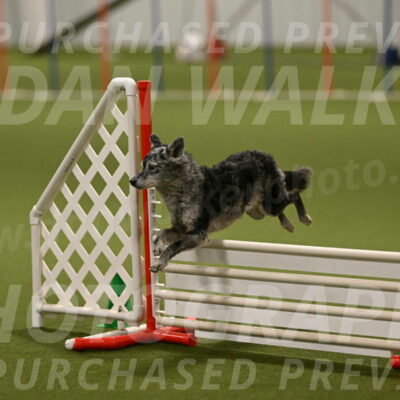 Bruce-Vic-Belebczuk-00839