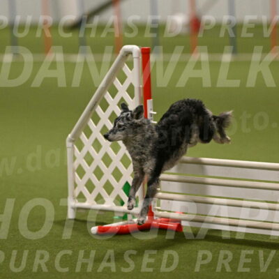 Bruce-Vic-Belebczuk-00840