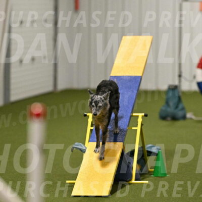 Bruce-Vic-Belebczuk-00844
