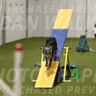 Bruce-Vic-Belebczuk-00845