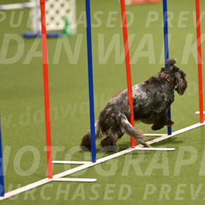 Captain-Hook-Tim-Pinneri-00668